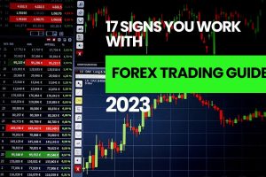 17 Signs You Work With Forex Trading Guide 2023